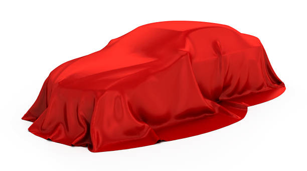 2025 ARMBRUSTER STAGEWAY Buick Funeral Car